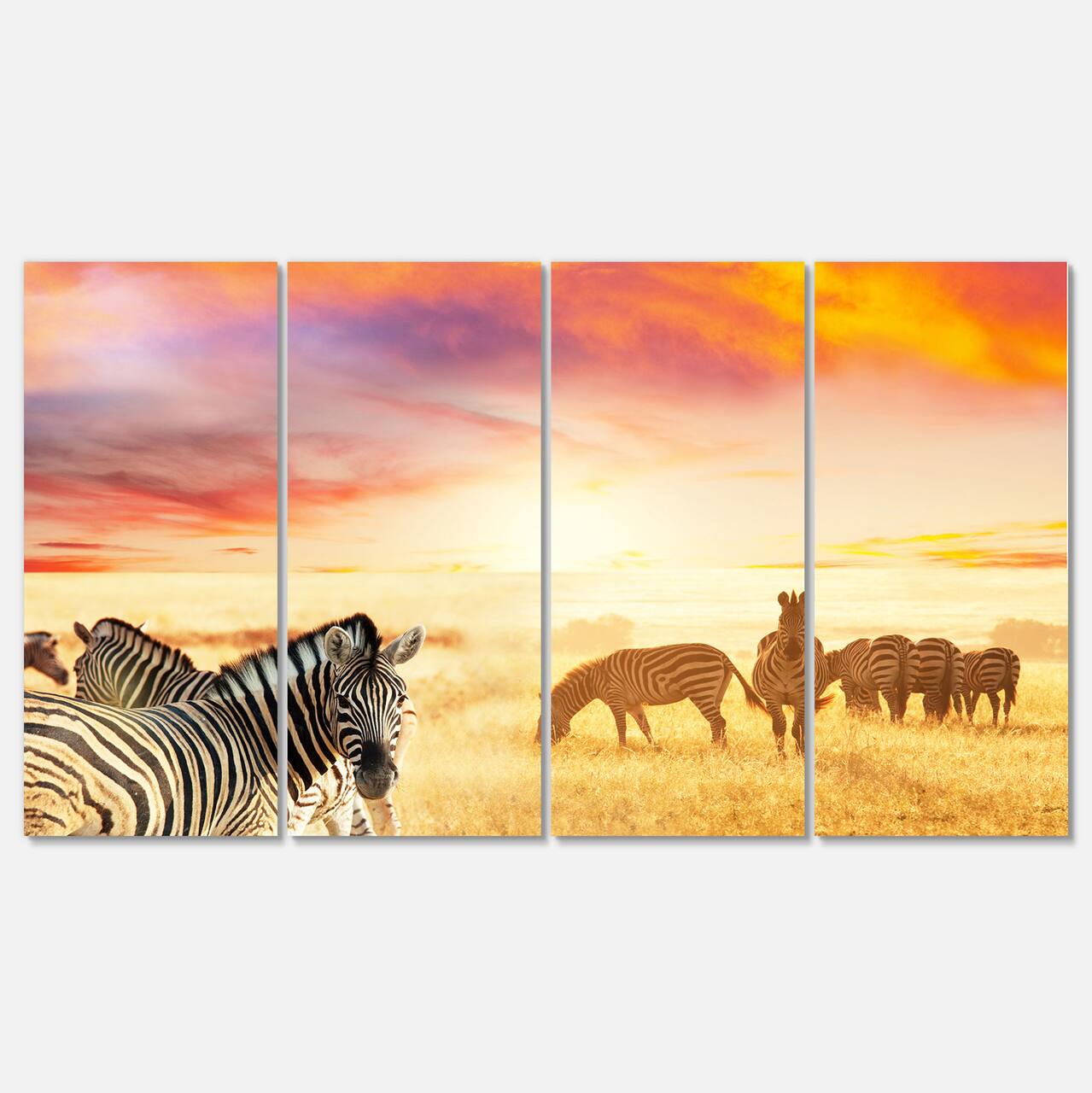 Designart - Cute Zebras Grazing in Grassland - Animal Canvas Art Print
